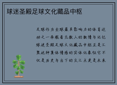 球迷圣殿足球文化藏品中枢