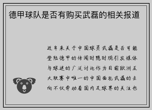 德甲球队是否有购买武磊的相关报道